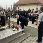 zdjęcie nr 15