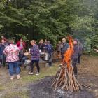zdjęcie nr 7