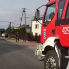 zdjęcie nr 8