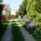 zdjęcie nr 33