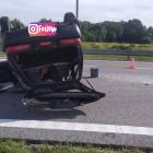 Fotka nr 2 z 3