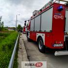 Fotka nr 4 z 7