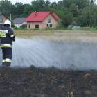 zdjęcie nr 26