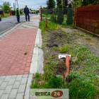 Fotka nr 5 z 7
