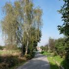 zdjęcie nr 56