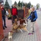zdjęcie nr 7