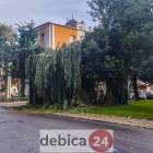 zdjęcie nr 27