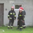 zdjęcie nr 11