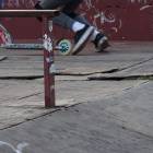 Fotka nr 5 z 6