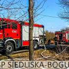 Fotka nr 3 z 12