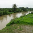 zdjęcie nr 8