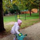 zdjęcie nr 11