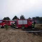 Fotka nr 2 z 4