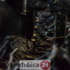 Fotka nr 0 z 21