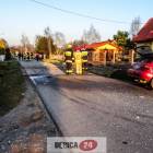 Fotka nr 4 z 12