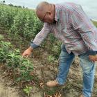 Jan Persak na swojej plantacji.