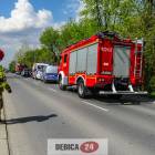 Fotka nr 2 z 4