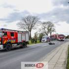 Fotka nr 2 z 7