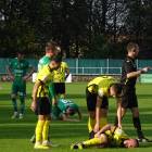 zdjęcie nr 17