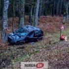Fotka nr 3 z 8