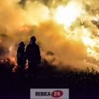 zdjęcie nr 12
