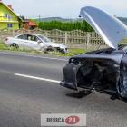 Fotka nr 4 z 6