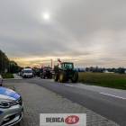 Fotka nr 3 z 13
