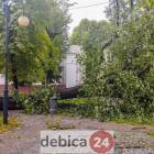 zdjęcie nr 24