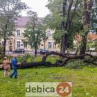 zdjęcie nr 22
