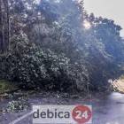 zdjęcie nr 34