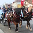 zdjęcie nr 43