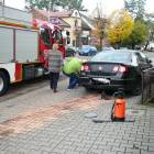 zdjęcie nr 8