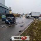 Fotka nr 5 z 6