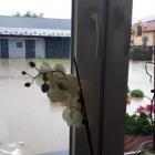 Fotka nr 5 z 9