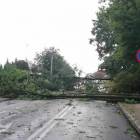 zdjęcie nr 8