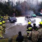 Fotka nr 2 z 12