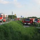 zdjęcie nr 12
