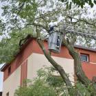 zdjęcie nr 8