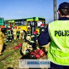 zdjęcie nr 14