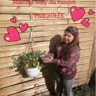 zdjęcie nr 16