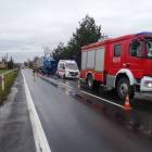 Fotka nr 5 z 7