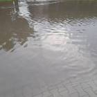 zdjęcie nr 7
