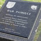 zdjęcie nr 37