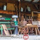 Fotka nr 4 z 14