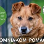 Fotka nr 0 z 1