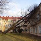 zdjęcie nr 7