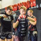 zdjęcie nr 17