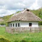 zdjęcie nr 46