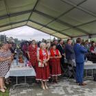 zdjęcie nr 13