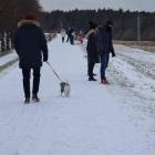 zdjęcie nr 7